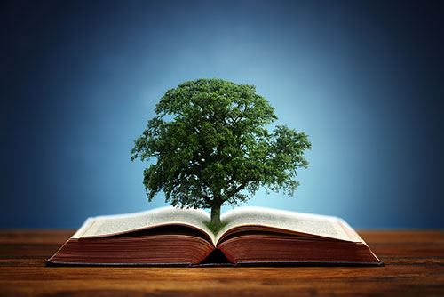 Tree of knowledge in a book